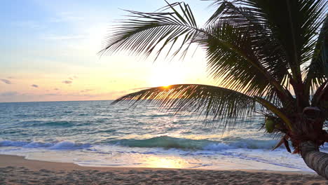 pôr do sol no paraíso tropical, praia de areia vazia, ondas do mar e palmeira