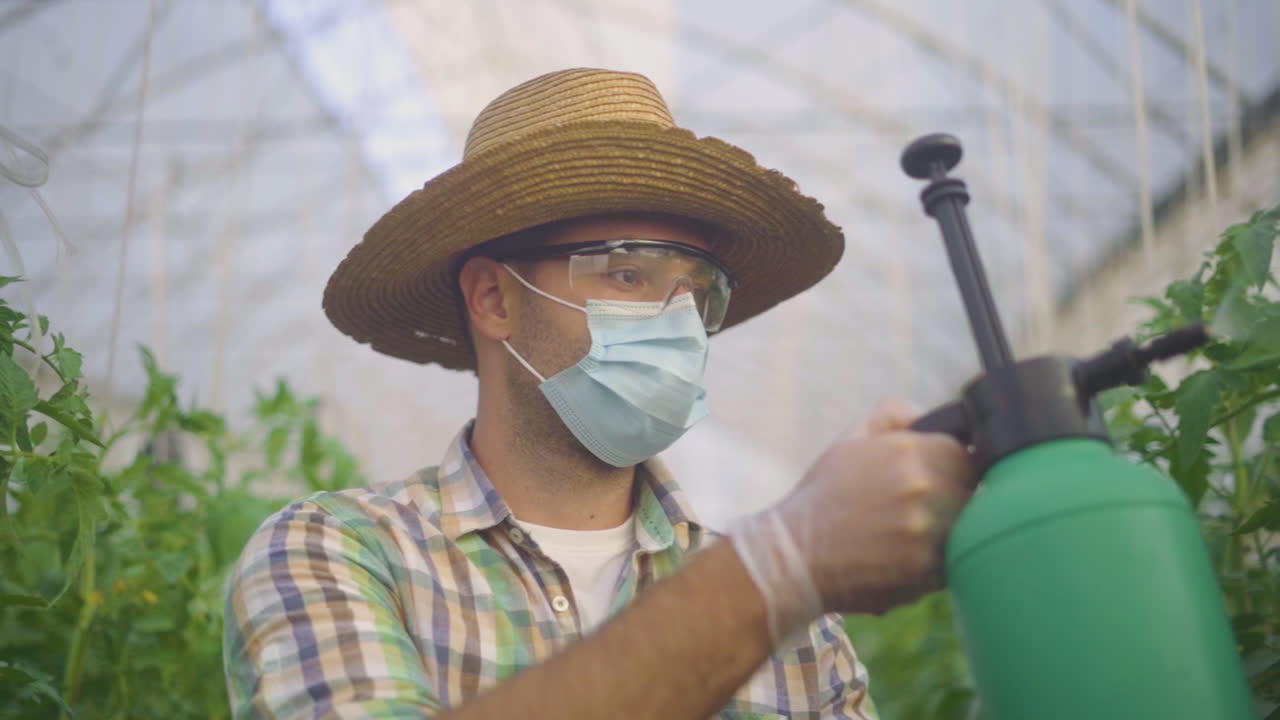 온실 에서 일 하는 농부