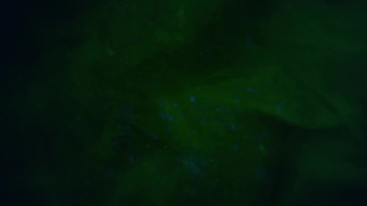 Filmische achtergrond met rook en groene deeltjes met bewegende camera