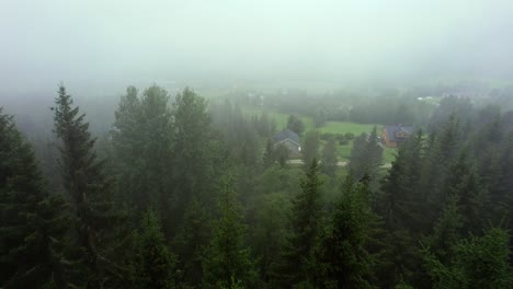 bird's eye view revealing a group of houses in a forest in foggy weather unset norway