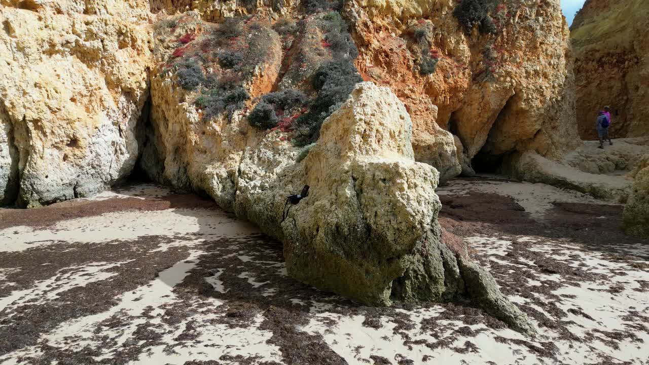 algarve Coastline: Unique rock formations and seaweed create a striking scene on a Portuguese beach. Capture the natural beauty of the Algarve coast. Perfect for nature, travel, and coastal themes.