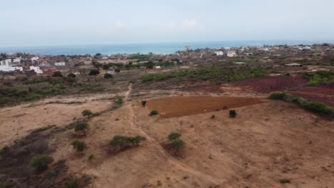 Bauer-Pflügt-Mit-Einem-Pferd-Ein-Feld-Im-Ländlichen-Senegal-In-Der-Nähe-Des-Meeres