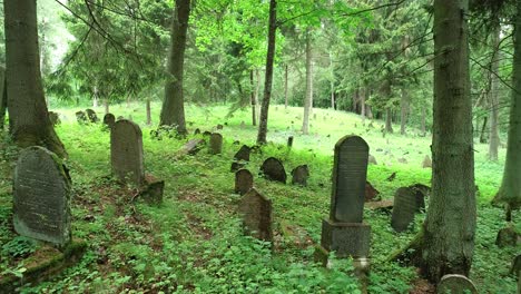 Tief-Im-Wald-Liegt-Ein-Verlassener-Alter-Friedhof