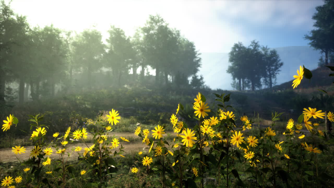 Foggy Forest Morning with Yellow Wildflowers