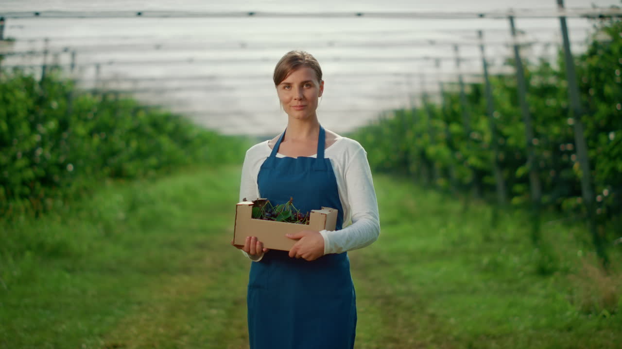 Agricultrice caucasienne tenant une caisse de cerises dans une plantation fruitière. Concept agricole.