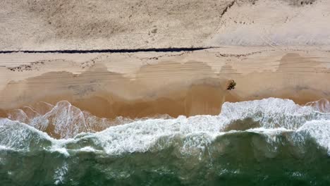 Truck-right-bird's-eye-aerial-shot-of-the-tropical-Rio-Grande-do-Norte,-Brazil-coastline-with-golden-sand,-turquoise-clear-water-and-waves-crashing-on-shore-in-between-Baia-Formosa-and-Barra-de-Cunha?