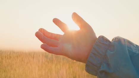 boy hands serve as vessels collecting rain child connection to natural world deepens immersing in