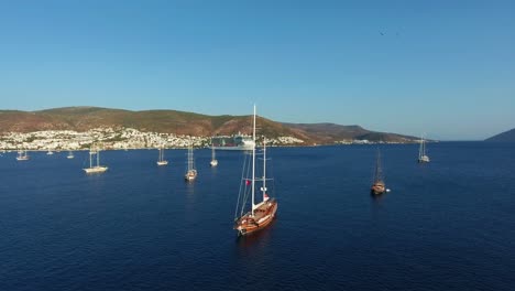 aerial shot of sailboats in the sea