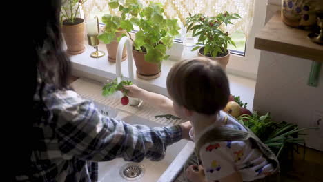 Top-view-of-caucasian-woman-washing-vegetables-and-fruits-in-the-sink.-Her-son-helps-to-her