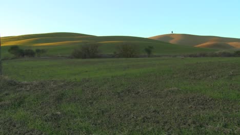 A-lonely-tree-stands-on-a-very-distant-hill-amongst-green-fields-in-Tuscany-Italy