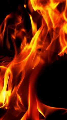 bonfire. slow motion. real fire flame on a black background vertical video