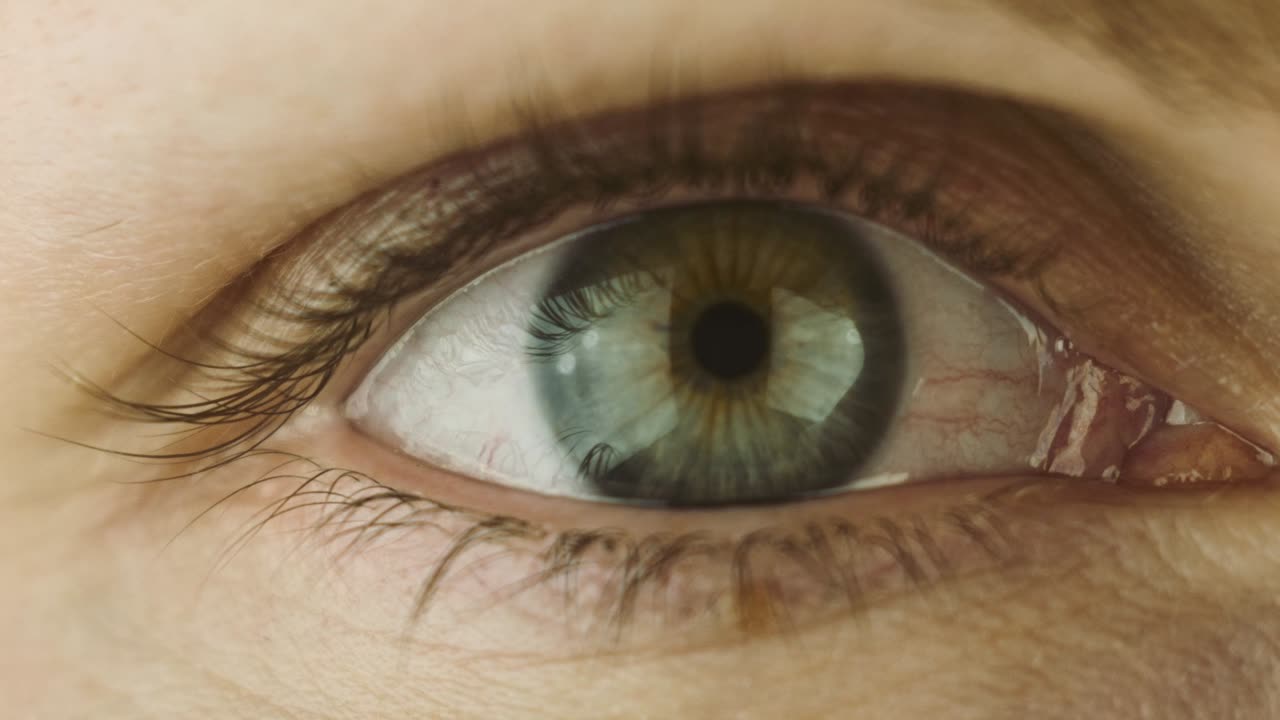 Old Eye Female with Beautiful Brown Iris Macro . Bright Beauty Human