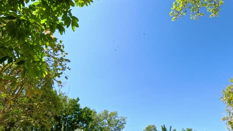 a serene view of lush greenery and traditional huts under a clear blue sky in chonburi, thailand. natural lighting enhances the peaceful atmosphere