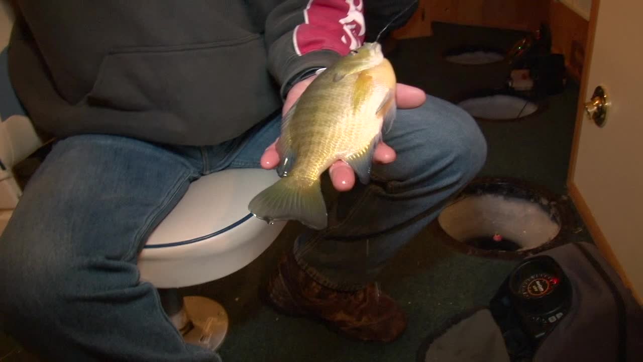 Man Pulled The Fish From Ice Hole. - Closeup Shot