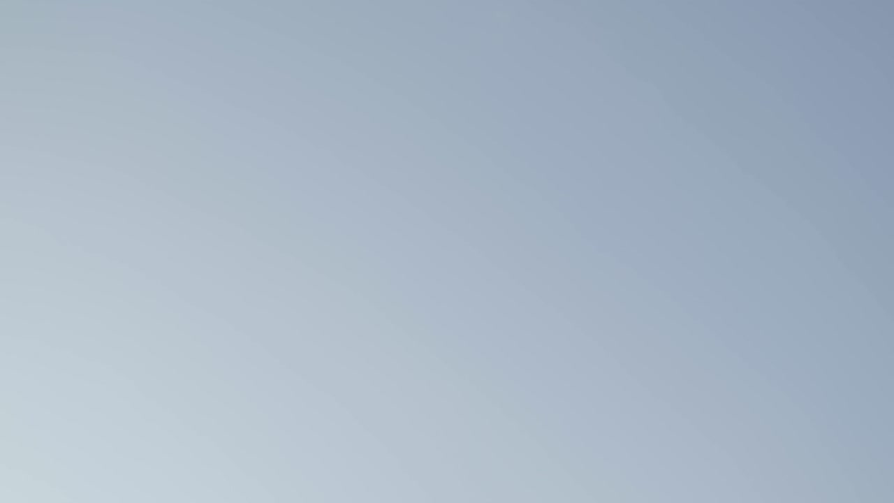 요코하마 최고의 벚꽃