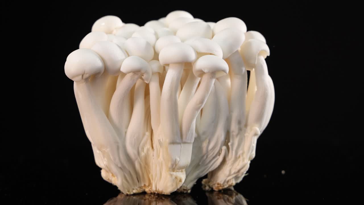 A cluster of white beech mushrooms slowly rotates on a glossy black surface, illuminated by soft studio lighting, highlighting texture and form in high resolution