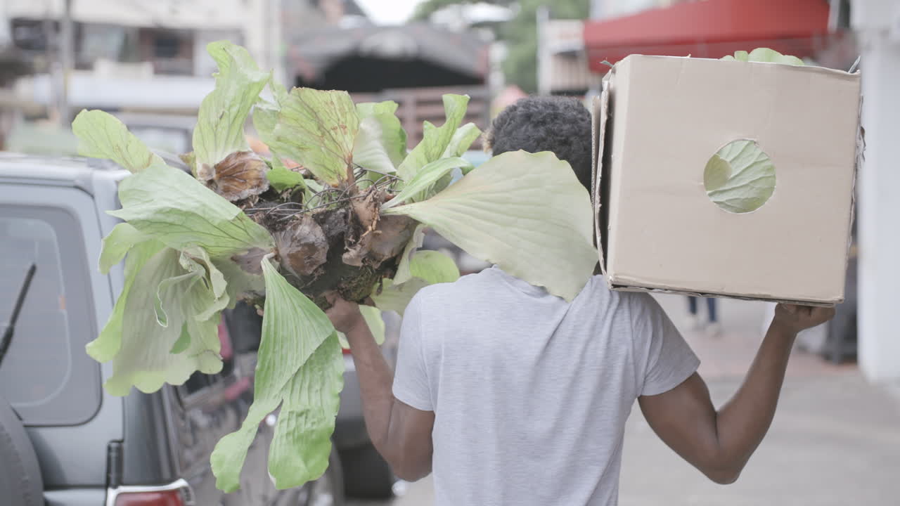 길을 따라 상자와 식물을 나르는 사람의 뒷모습을 보여주는 슬로우 모션 영상