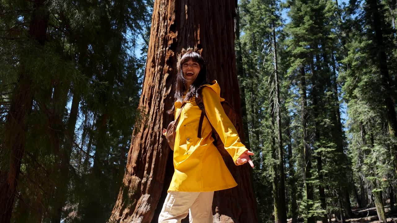 Donna gioiosa che esplora una foresta di sequoie in una giornata di sole