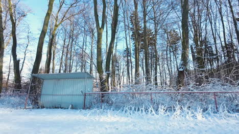 an abandoned metal shed in the woods