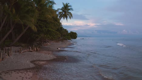 toma aérea épica de un bosque selvático natural y una playa de arena en la costa pacífica en costa rica al atardecer con un hermoso cielo coloreado y nubes sobre el océano