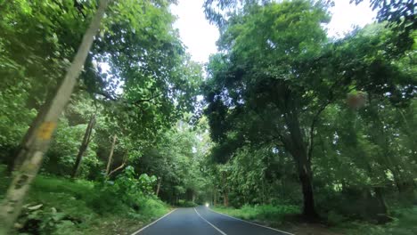 Conducir-En-Coche-Tiro-POV-A-Través-De-La-Carretera-Forestal-En-Kerala,-India