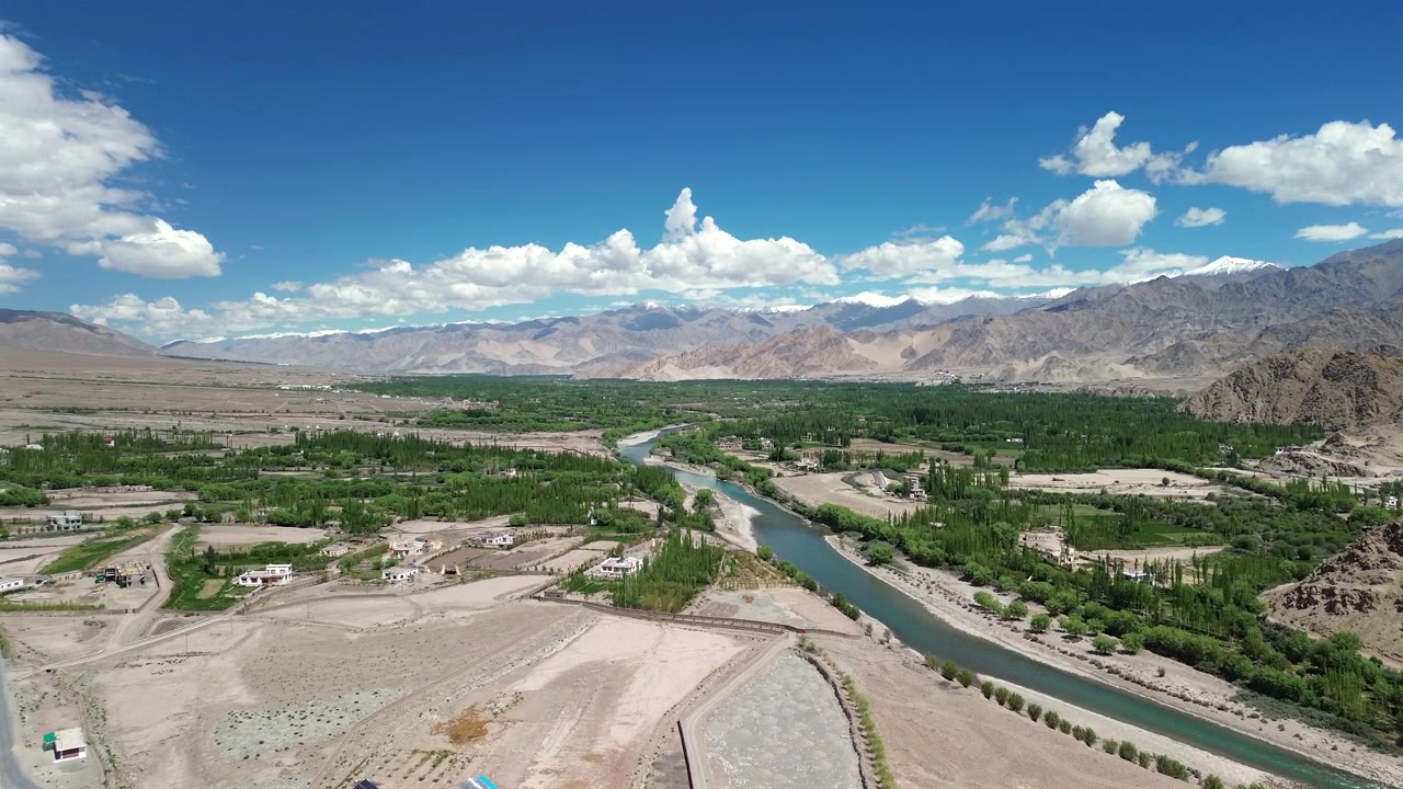 Droneoptagelse i fugleperspektiv over den turkise Indus-flod, der skærer sig gennem en levende grøn dal-oase, omgivet af massive ørkenbjerge under en klar blå himmel i Leh Ladakh, Indien.