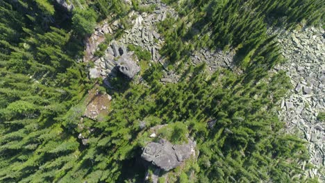 vista aérea de las rocas y el bosque