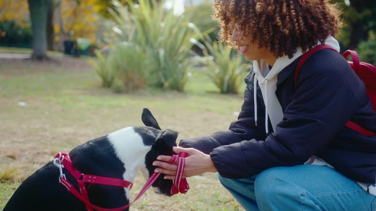 Woman Giving Treats and Petting Dog in the Park