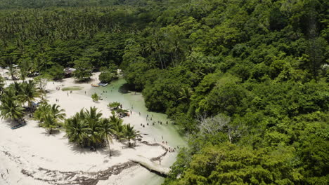 las playas de arena dorada y las mini lagunas de playa rincón en la república dominicana