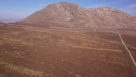 el halcón cae rápidamente por el aire con un dron siguiéndolo sobre el desierto