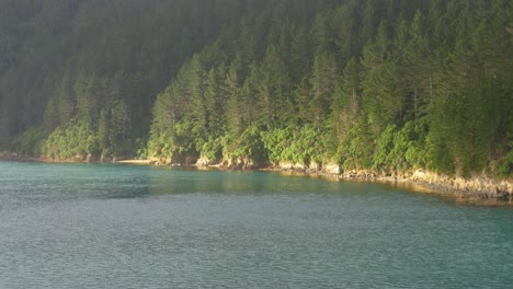 marlborough, new zealand - a peaceful lush green island with tall trees and green ocean waters captured on an early morning sun - wide shot