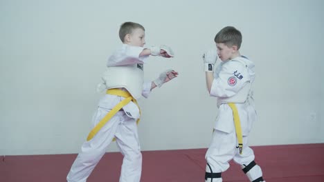 young martial artists in white gi and yellow belts practicing kudo techniques with focus and determination