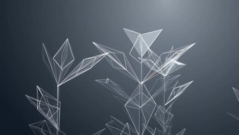 abstract geometric wireframe plants on grey background