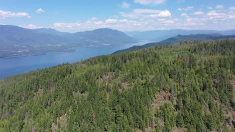 Vista-Aérea-Del-Lago-Shuswap-Y-Los-Bosques-De-Hoja-Perenne-En-Bc