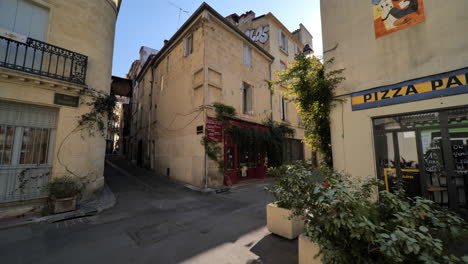 vegetation in montpellier streets ecusson city center beige limestone walls