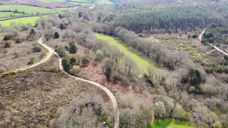 Woodbury-Gemeinsame-Landschaft-In-Ost-Devon