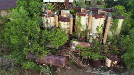 koloa sugar mill equipment overgrown by trees, drone pan