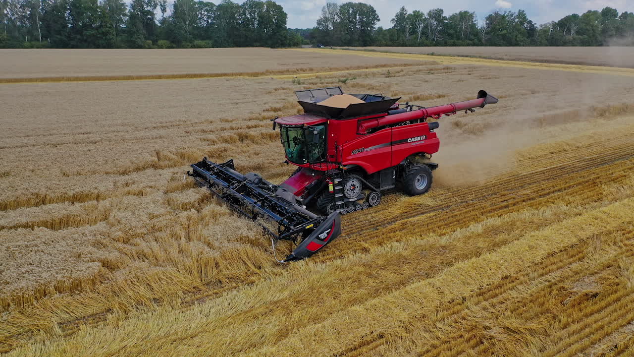 Agricultural combine harvester. Farming combine harvesters on grain field