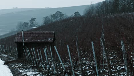 a cabine between a wine field with snow