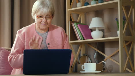 senior woman communicates with friends via video link on laptop