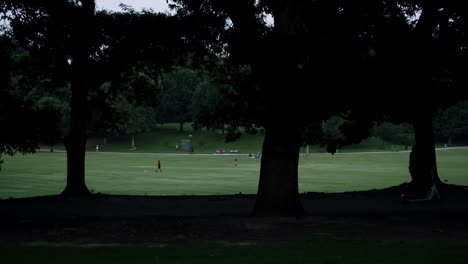 Park Scene with People on Electric Scooters