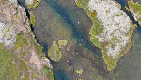 Pasee-Por-Encima-Mientras-Los-Buceadores-Se-Deslizan-Por-Las-Aguas-Cristalinas-De-Silfra,-La-Vista-Aérea-Captura-Su-Viaje-único-Entre-Placas-Tectónicas.