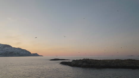 La-Antena-Muestra-Un-Gran-Número-De-Gaviotas-En-El-Vibrante-Cielo-Del-Atardecer,-Costa-ártica