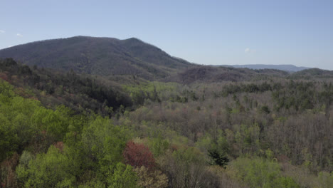 Flying-Over-Tree-Tops-in-Smokey-Mountains