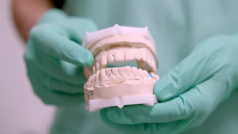 las manos con guantes de dentista simulan el movimiento de masticación y masticación de las mandíbulas mediante moldes de yeso dental