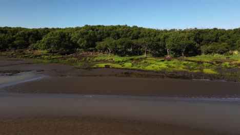 fotografía de un avión no tripulado de pantanos arenosos y árboles en la orilla del río de la plata