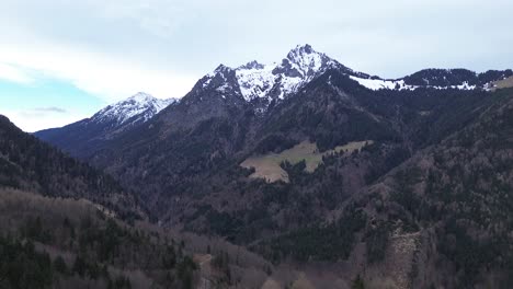 aerial view of drone flying sideways along pine forest with snow capped mountains in background on a cloudy day in vorarlberg, austria