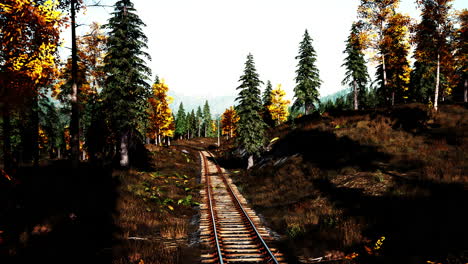 train tracks through autumn forest