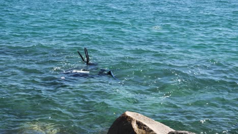 Leute-Sammeln-Müll-Beim-Tauchen-Im-Meer-Neben-Felsen