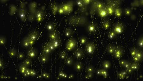 animación de partículas de estrellas brillantes gráficos de movimiento